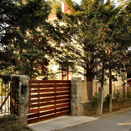 Villa Cecile Шопрон Екстериор снимка